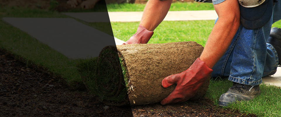 Lawrence Landscapers